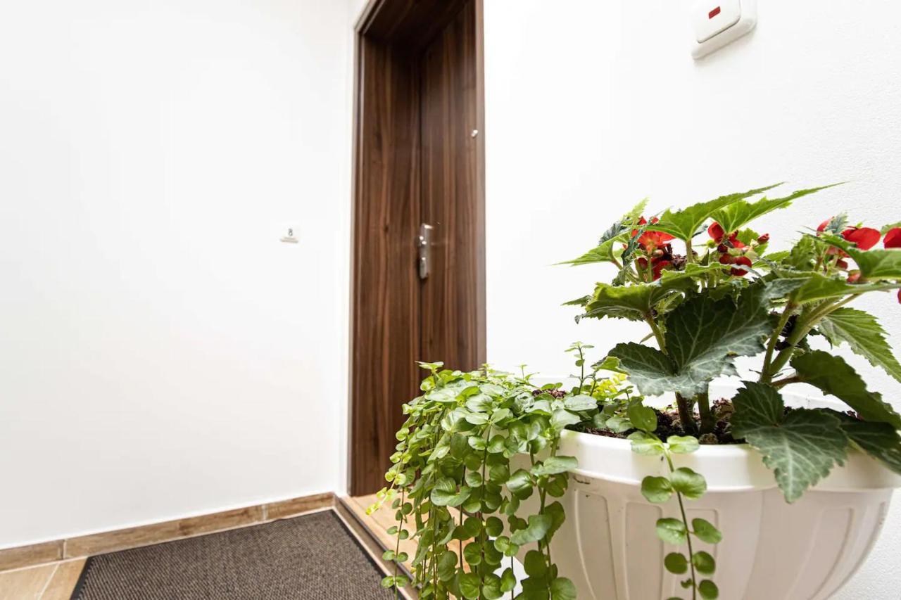 468 Plagwitz Apartment Kulturviertel 莱比锡 外观 照片